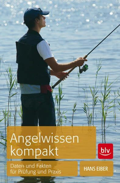 Angelwissen kompakt: Daten und Fakten für Prüfung und Praxis