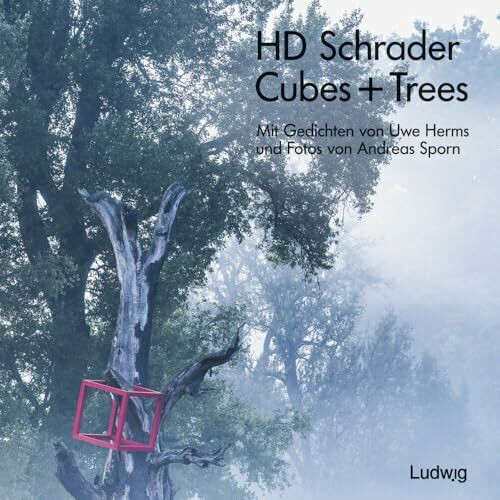 Cubes + Trees: Installationen vom Schloss Waldenbuch und dem Museum Ritter bis zum Schloss Dätzingen