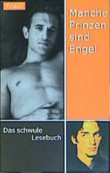 Manche Prinzen sind Engel: Das schwule Lesebuch
