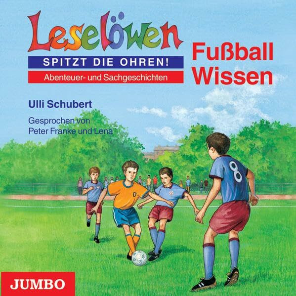 Fußball Wissen (Leselöwen-Wissen)