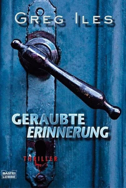 Geraubte Erinnerung: Thriller (Allgemeine Reihe. Bastei Lübbe Taschenbücher)