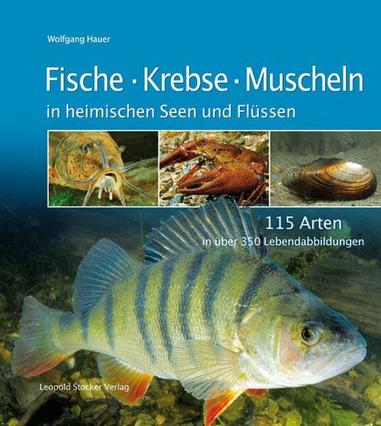 Fische Krebse Muscheln in heimischen Seen und Flüssen: 115 Arten in über 350 Lebendabbildungen
