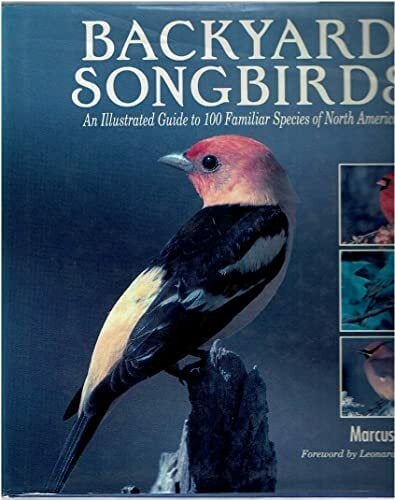 Backyard Songbirds: An Illustrated Guide to 100 Familiar Species of North America Backyard Songbirds: An Illustrated Guide to 100 Familiar Species of North America
