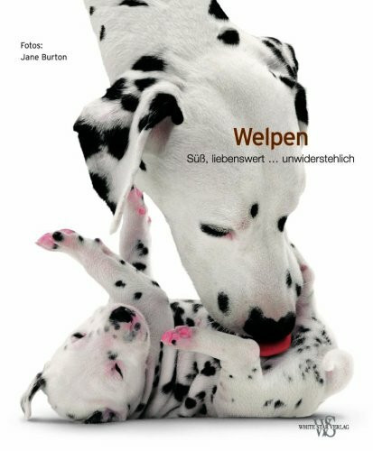 Welpen (Natur, Tiere)