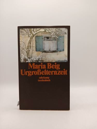 Urgroßelternzeit: Erzählungen (suhrkamp taschenbuch)