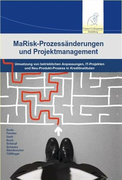 MaRisk-Prozessänderungen und Projektmanagement: Umsetzung von betrieblichen Anpassungen, IT-Projekten und Neu-Produkt-Prozess in Kreditisntituten