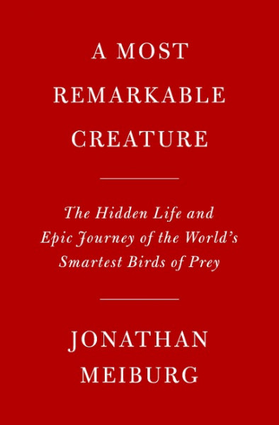 A Most Remarkable Creature: The Hidden Life and Epic Journey of the World's Smartest Birds of Prey
