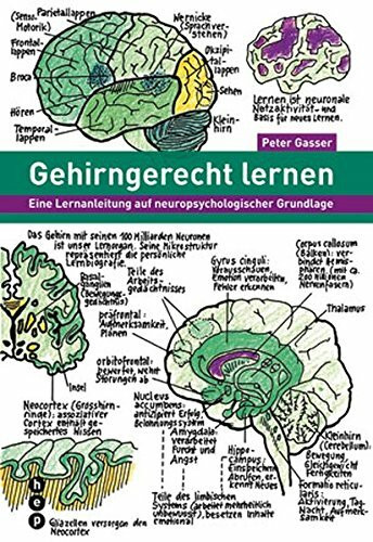 Gehirngerecht lernen: Eine Lernanleitung auf neuropsychologischer Grundlage