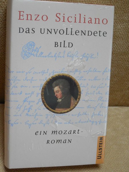 Das unvollendete Bild