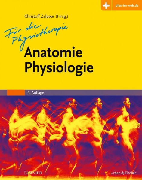 Anatomie Physiologie für die Physiotherapie: Alle Abbildungen zusätzlich online abrufbar