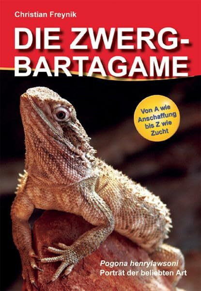 Die Zwergbartagame