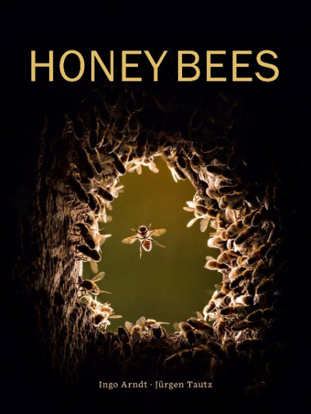 Honey Bees