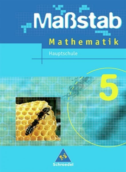 Maßstab - Mathematik für Hauptschulen in Niedersachsen - Ausgabe 2005: Schülerband 5