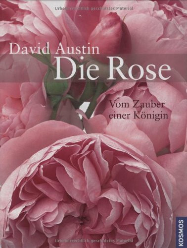 Die Rose: Vom Zauber einer Königin