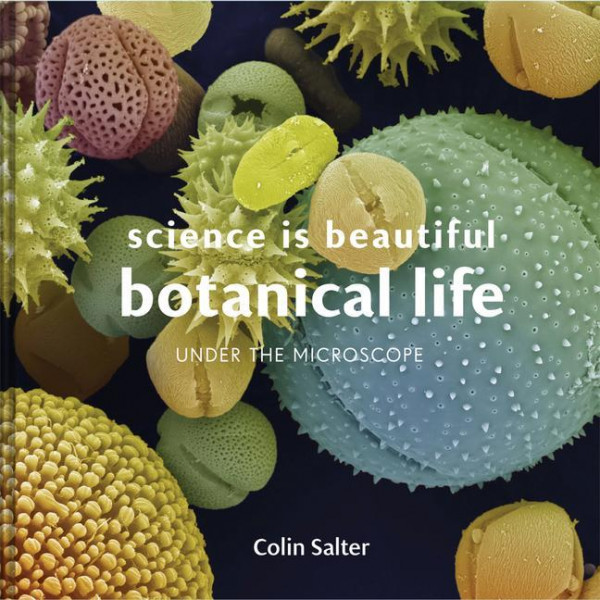 Science Is Beautiful: Botanical Life: Under the Microscope