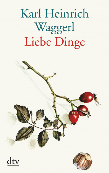 Liebe Dinge: Miniaturen (dtv großdruck)