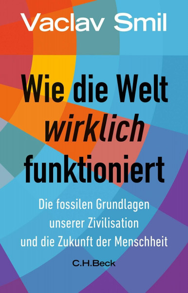 Wie die Welt wirklich funktioniert: Die fossilen Grundlagen unserer Zivilisation und die Zukunft der Menschheit (Beck Paperback)