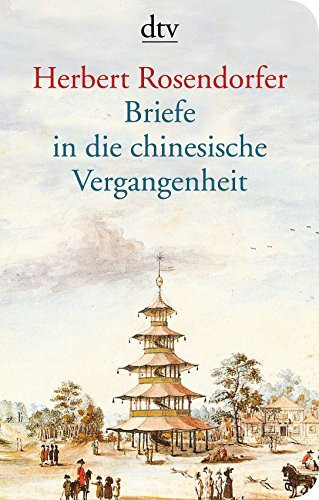 Briefe in die chinesische Vergangenheit: Roman (dtv Unterhaltung)