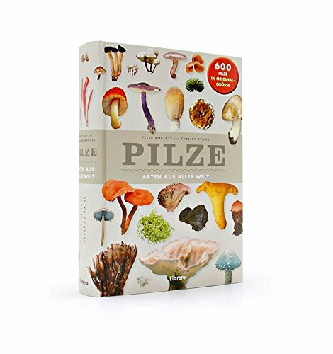 Pilze