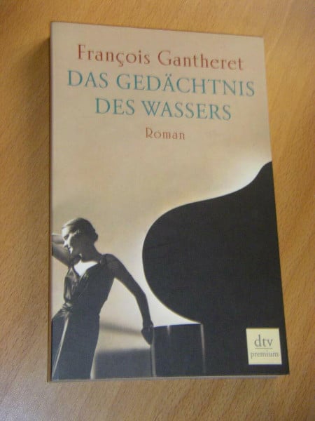 Das Gedächtnis des Wassers: Roman (dtv premium)