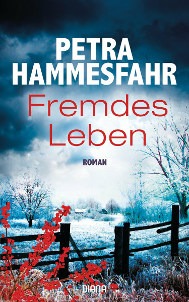 Fremdes Leben: Roman