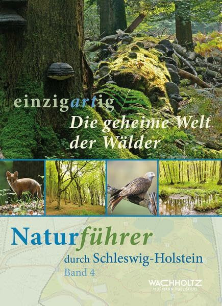 Die geheime Welt der Wälder: einzigartig. Naturführer durch Schleswig-Holstein Band 4