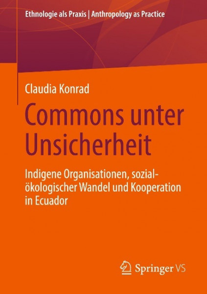 Commons unter Unsicherheit