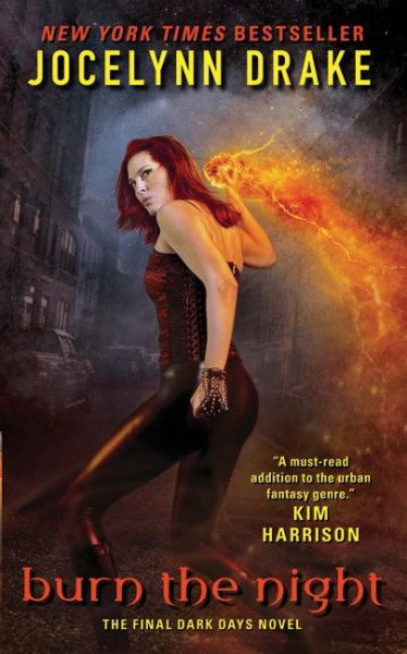 Burn the Night: The Final Dark Days Novel