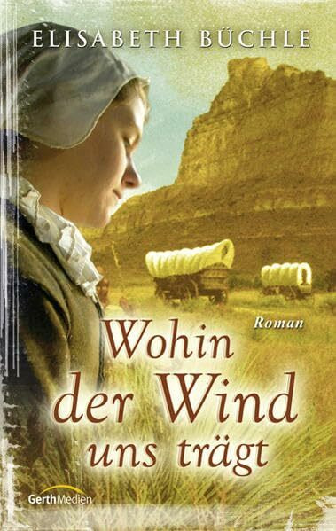Wohin der Wind uns trägt: Roman
