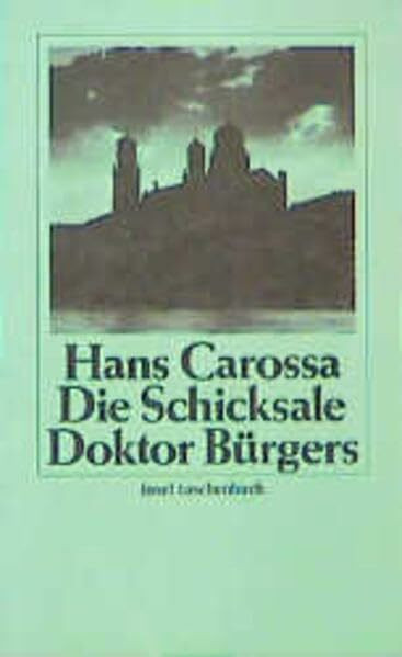 Die Schicksale Doktor Bürgers (insel taschenbuch)