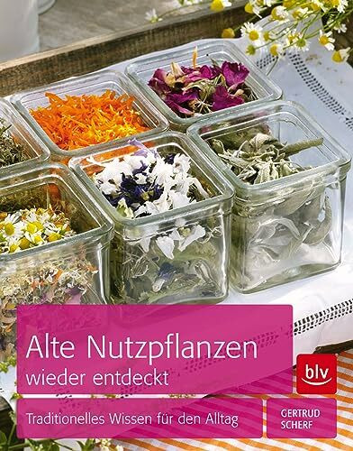 Alte Nutzpflanzen wieder entdeckt: Traditionelles Wissen für den Alltag