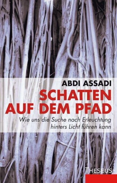 Schatten auf dem Pfad: Wie uns die Suche nach Erleuchtung hinters Licht fuhren kann