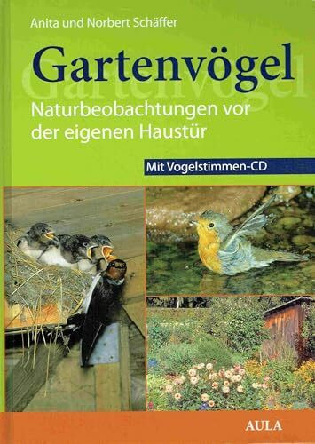 Gartenvögel: Naturbeobachtungen vor der eigenen Haustür