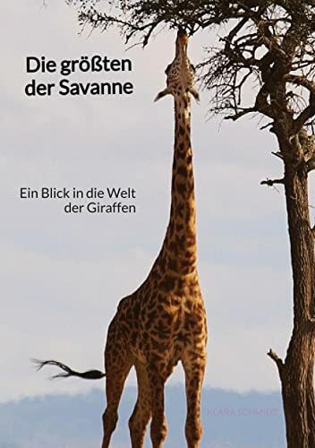 Die größten der Savanne: Ein Blick in die Welt der Giraffen