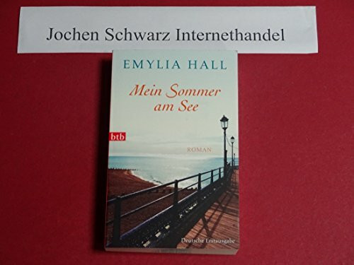 Mein Sommer am See: Roman