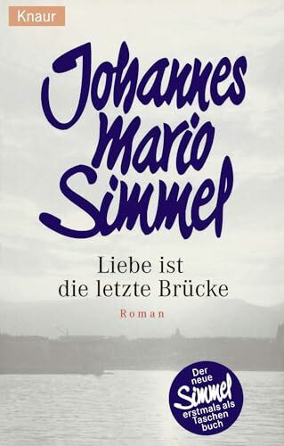 Liebe ist die letzte Brücke: Roman