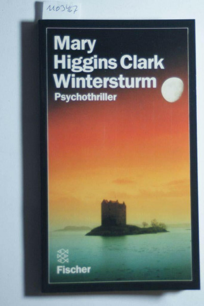 Wintersturm.: Roman. (Fischer Taschenbücher)