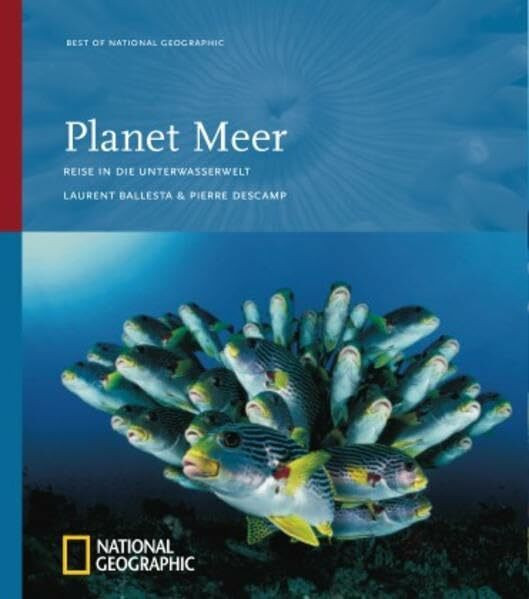 Planet Meer (Best of National Geographic): Reise in die Unterwasserwelt