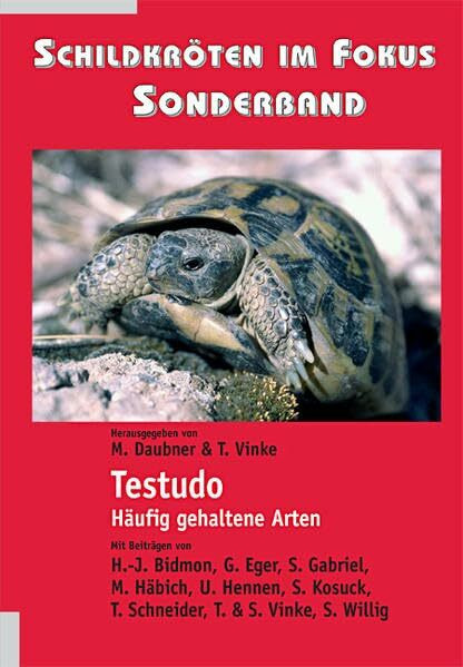 Schildkröten im Fokus - Sonderband: Testudo – Häufig gehaltene Arten