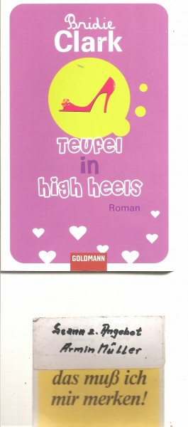Teufel in High Heels: Roman