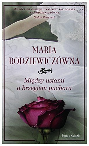 MIĘDZY USTAMI A BRZEGIEM PUCHARU (twarda)