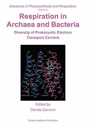 Respiration in Archaea and Bacteria: Diversity of Prokaryotic Electron Transport Carriers (Advances in Photosynthesis and Respiration, Band 15)