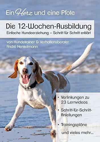 Die 12-Wochen-Ausbildung: Einfache Hundeerziehung - Schritt für Schritt erklärt