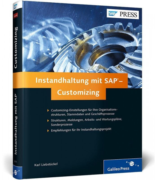 Instandhaltung mit SAP - Customizing