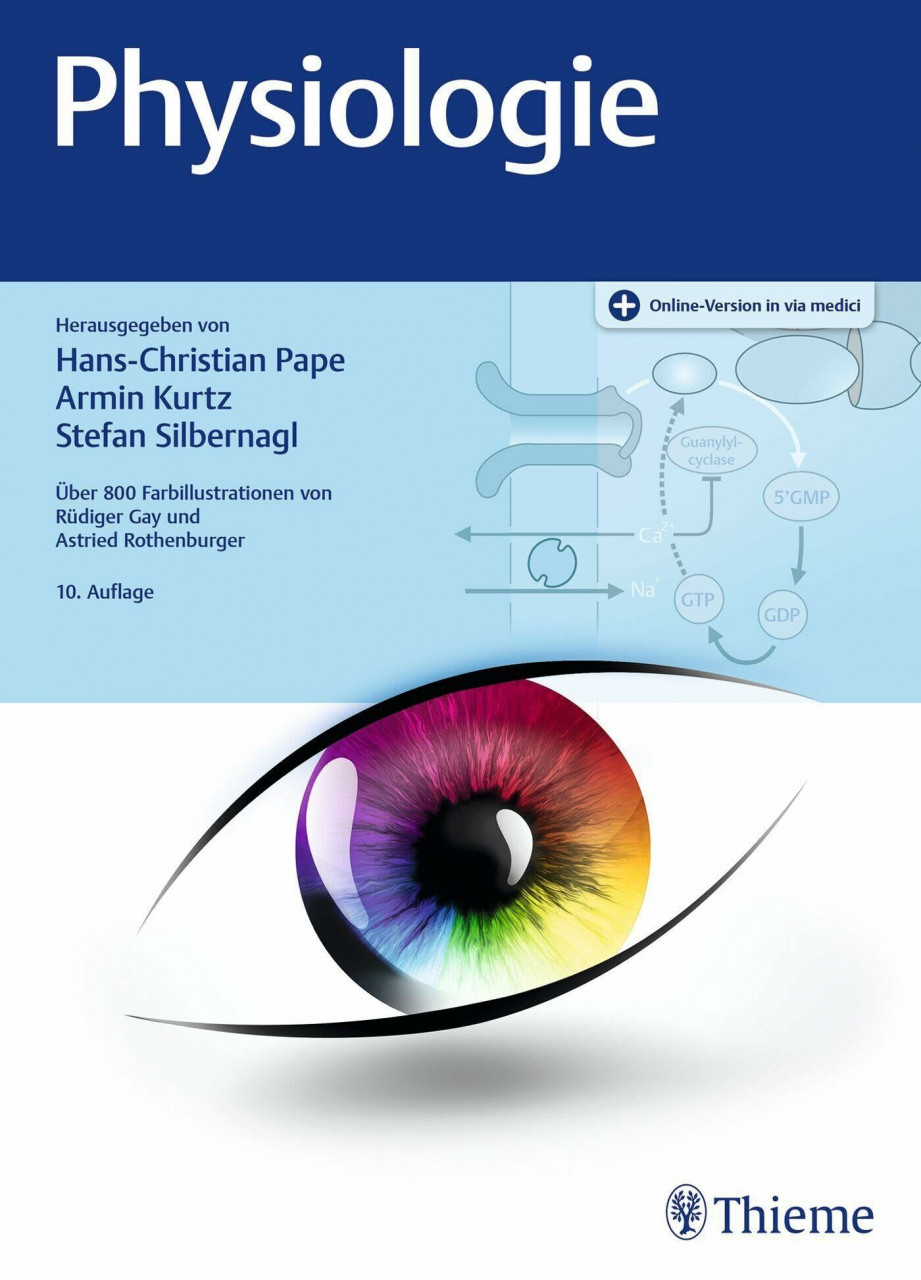Thieme Physiologie, Fachbücher Von Stefan Silbernagl, Hans-Christian Pape, Armin Kurtz - Bild 4