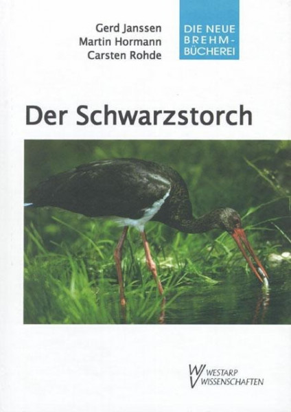 Der Schwarzstorch