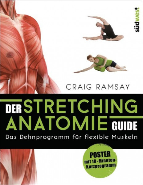 Der Stretching-Anatomie-Guide