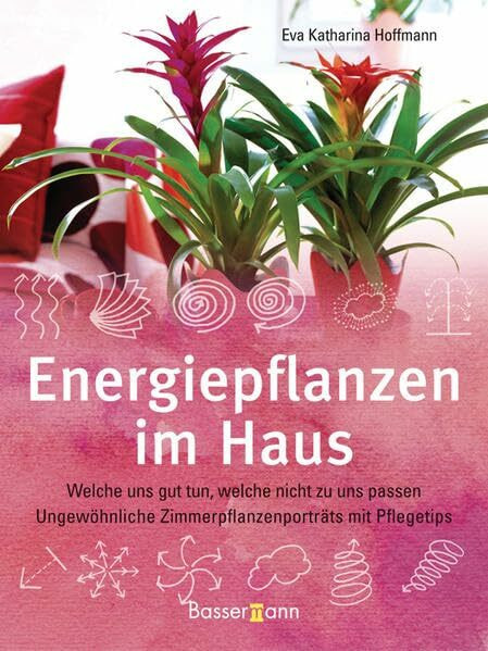 Energiepflanzen im Haus: Welche uns gut tun, welche nicht zu uns passen - Ungewöhnliche Zimmerpflanzenporträts mit Pflegetips