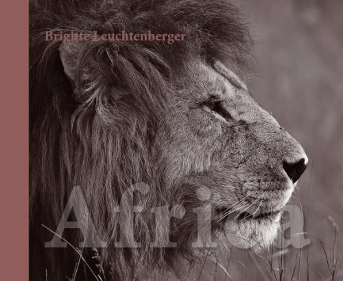 Africa: Sinneseindrücke in Bildern
