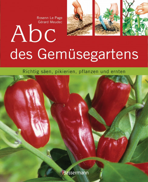 Abc des Gemüsegartens: Richtig säen, pikieren, pflanzen und ernten